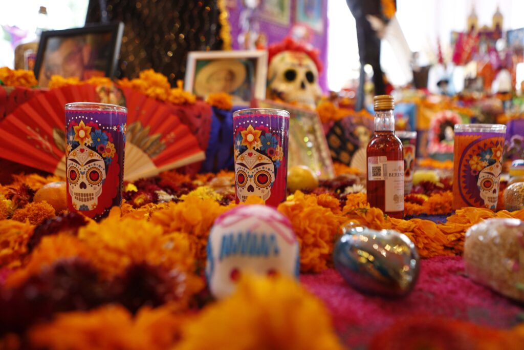 Proteger la herencia cultural fomenta el desarrollo en la comarca lagunera: Nesim Issa Tafich