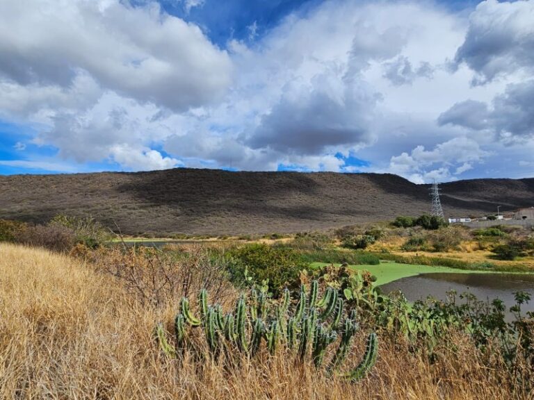 Incendios en El Tángano exponen la urgencia de proteger áreas naturales protegidas en Querétaro