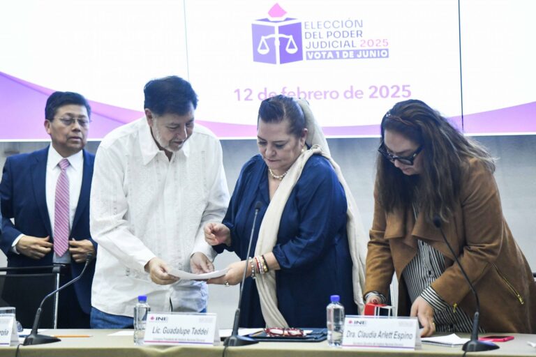 Persisten irregularidades en candidaturas para elección judicial de 2025