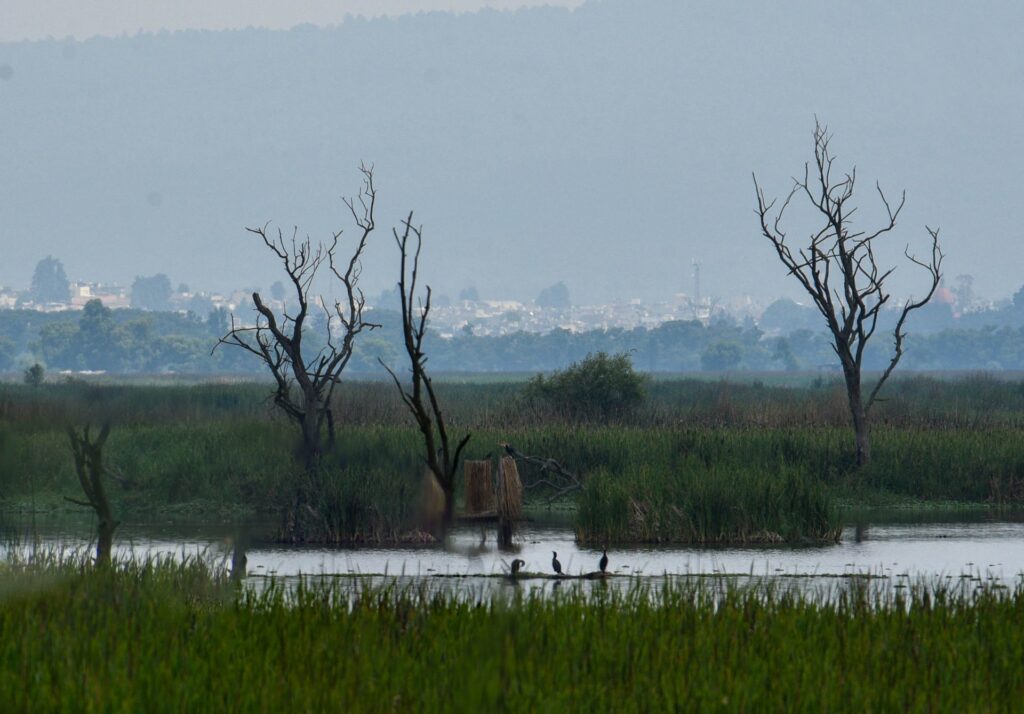 Querétaro y la crisis hídrica: desafíos y soluciones en 2025