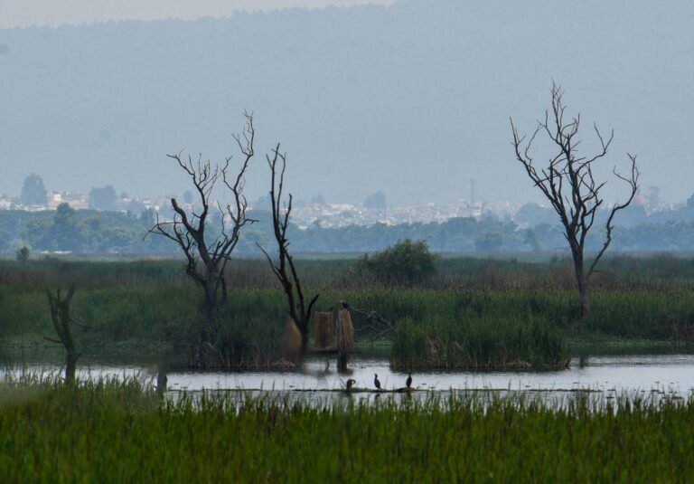 Querétaro y la crisis hídrica: desafíos y soluciones en 2025
