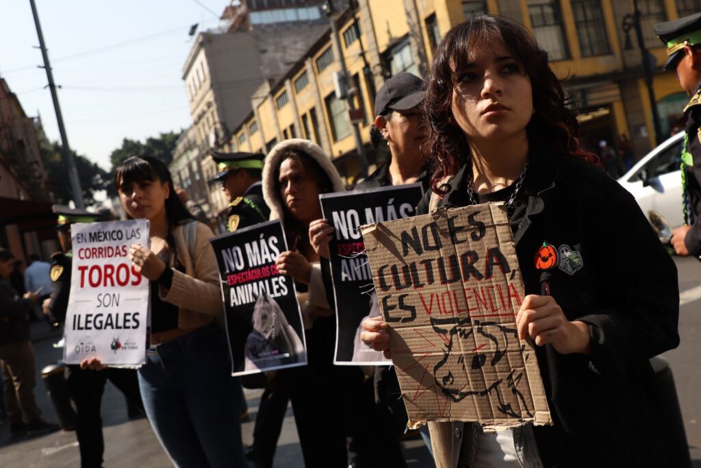 Protestas en Querétaro contra corridas de toros y maltrato animal