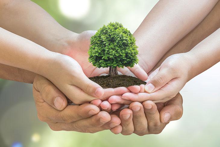 Corporativo Kosmos impulsa iniciativas ambientales con impacto positivo