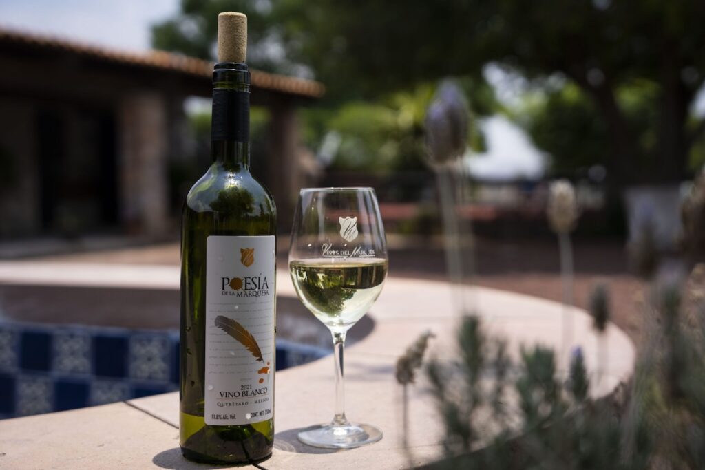 El reconocimiento que pone a Querétaro en el mapa del vino