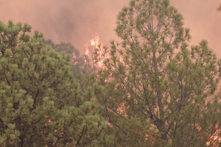Incendios forestales en Querétaro: causas humanas, impacto ecológico y respuesta institucional