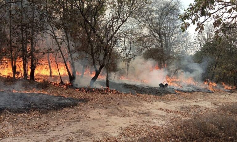 Incendio en Amealco de Bonfil: 450 hectáreas afectadas y evacuaciones