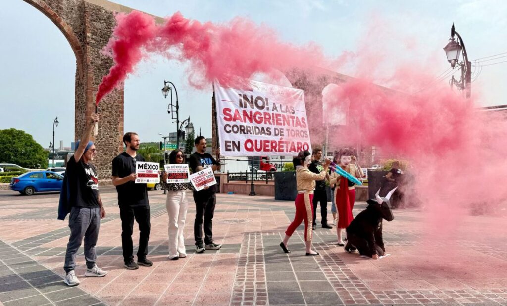 Activistas exigen fin de las corridas de toros en Querétaro