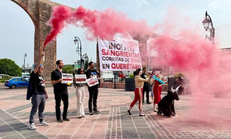 Activistas exigen fin de las corridas de toros en Querétaro