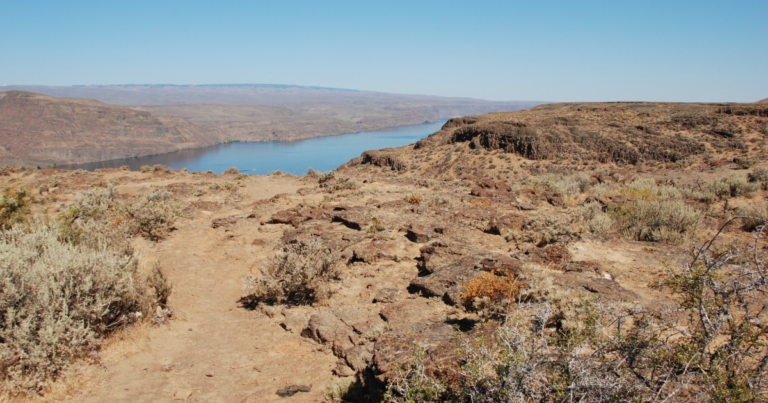 Querétaro se recupera: lluvias salvan al campo y a los cultivos