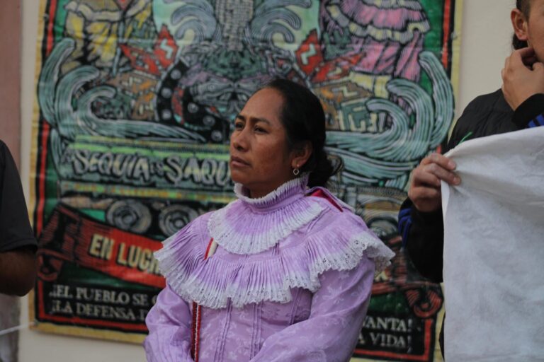 Indignación por detención y agresiones a Estela Hernández