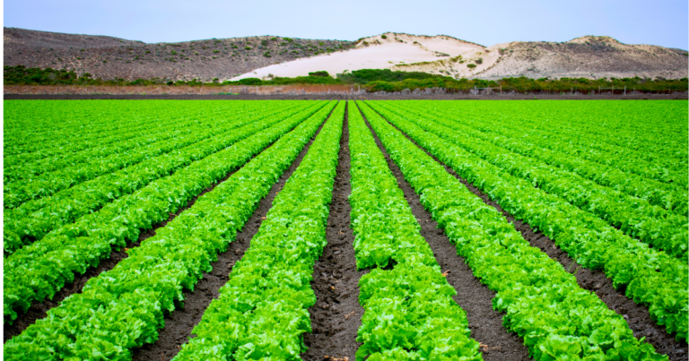 Lluvias llenan presas y eliminan sequía en Querétaro
