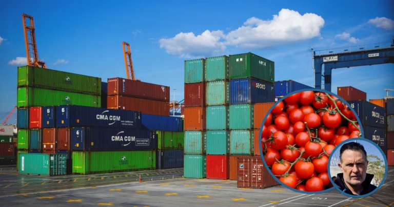 ¡Golpe al jitomate! Querétaro resentirá aranceles de EU