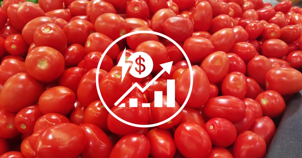 EE.UU. aplica arancel de 17% al jitomate mexicano