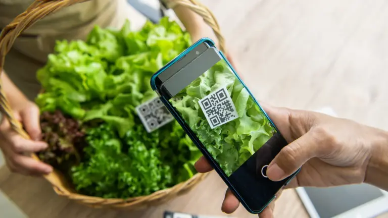 Etiquetado inteligente impulsa la seguridad alimentaria: La Cosmopolitana