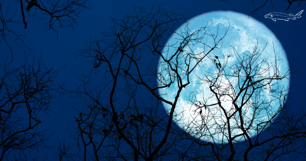 Luna de Esturión 2025: el brillo que marcará agosto