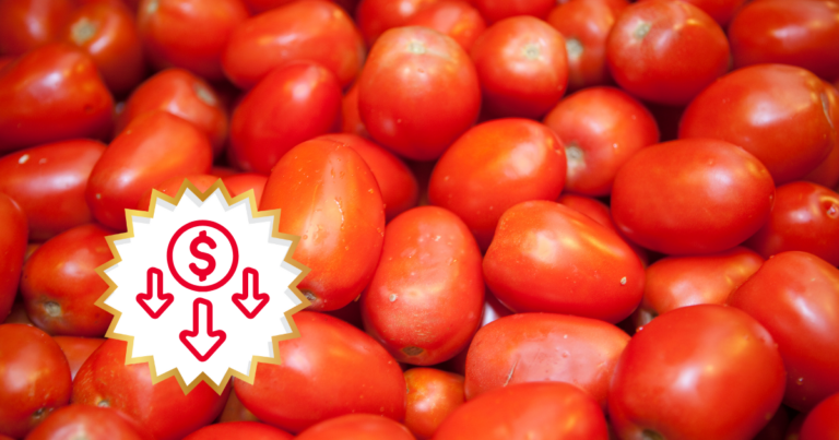 México establece precios mínimos para el jitomate fresco
