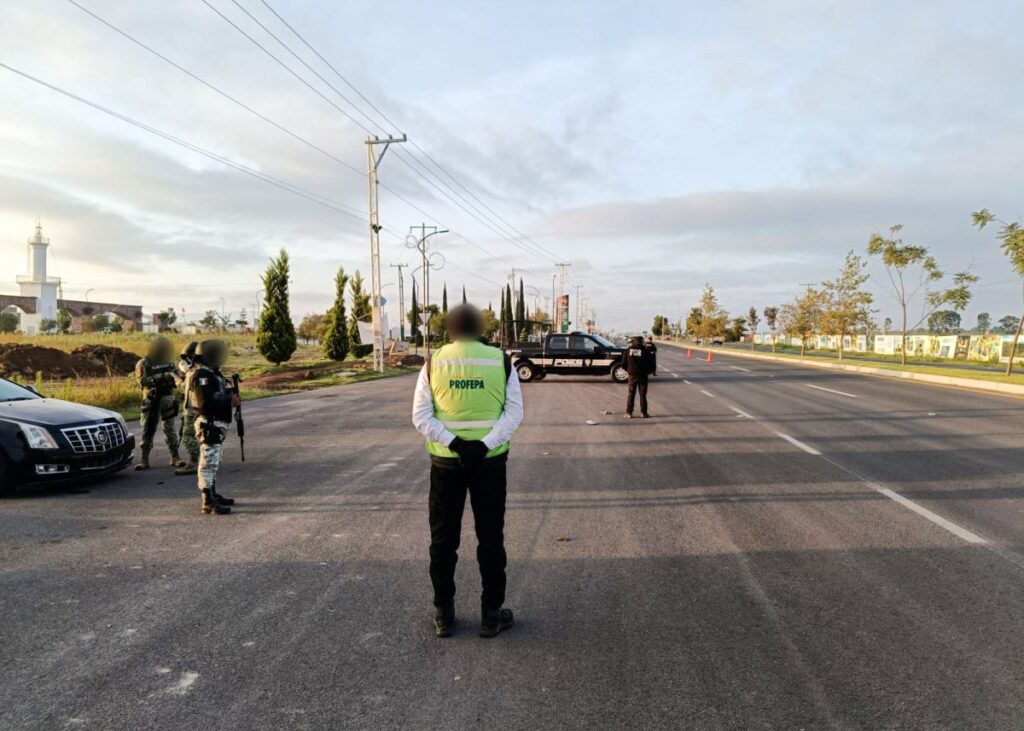 Aseguran 7.16 m³ de madera aserrada en Querétaro