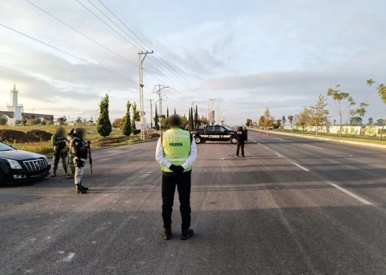 Aseguran 7.16 m³ de madera aserrada en Querétaro