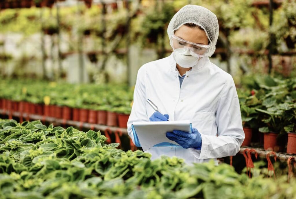 La trazabilidad en la industria alimentaria permite, entre otras cosas, rastrear la ruta que ha seguido un alimento desde su origen, de acuerdo con expertos de La Cosmopolitana.