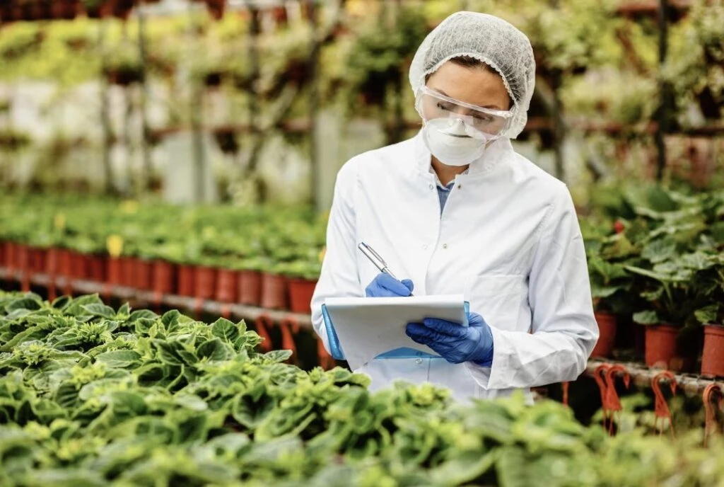 La trazabilidad en la industria alimentaria permite, entre otras cosas, rastrear la ruta que ha seguido un alimento desde su origen, de acuerdo con expertos de La Cosmopolitana.