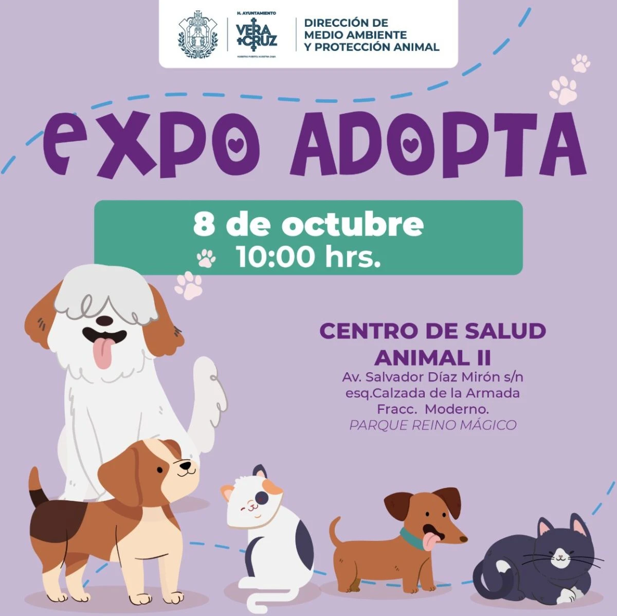 Importante adoptar, dice Patricia Lobeira Rodríguez.