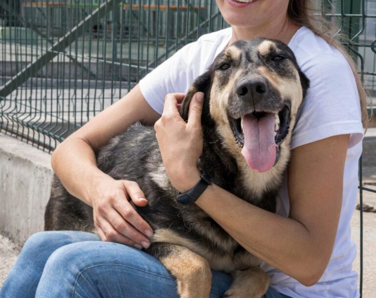 Patricia Lobeira Rodríguez insta a darle una segunda oportunidad a perros y gatos.
