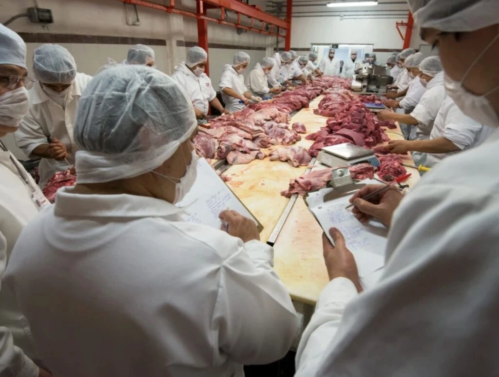 Entre los reconocimientos más importantes con los que cuenta La Cosmopolitana destacan el ISO 9001:2015 y NMX-CC-9001-IMNC-2008 para eficiencia en la gestión de calidad.