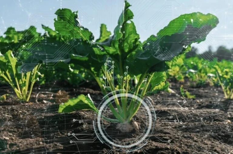 Grupo Kosmos destaca la trazabilidad de los alimentos como un factor clave.