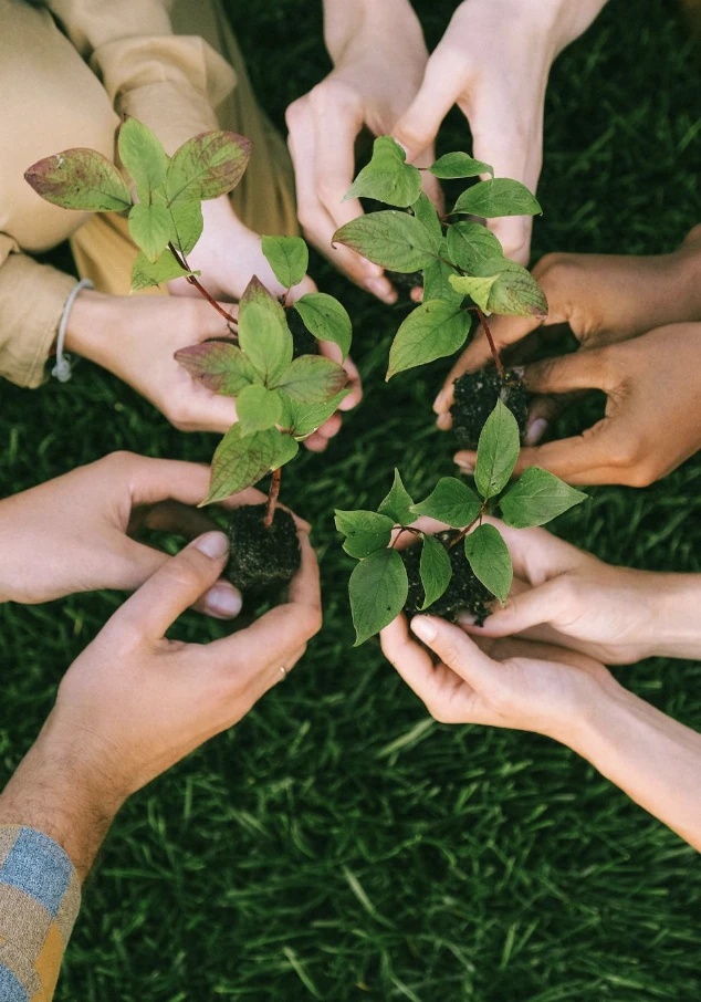 AJEMEX en el Día Mundial de la Educación Ambiental.