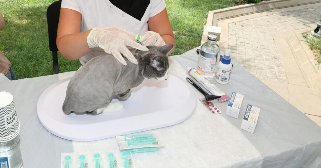 El antiparasitario Protecto Max mostró una efectividad del 100% para erradicar y prevenir plagas de garrapatas, pulgas y algunas especies de larvas.