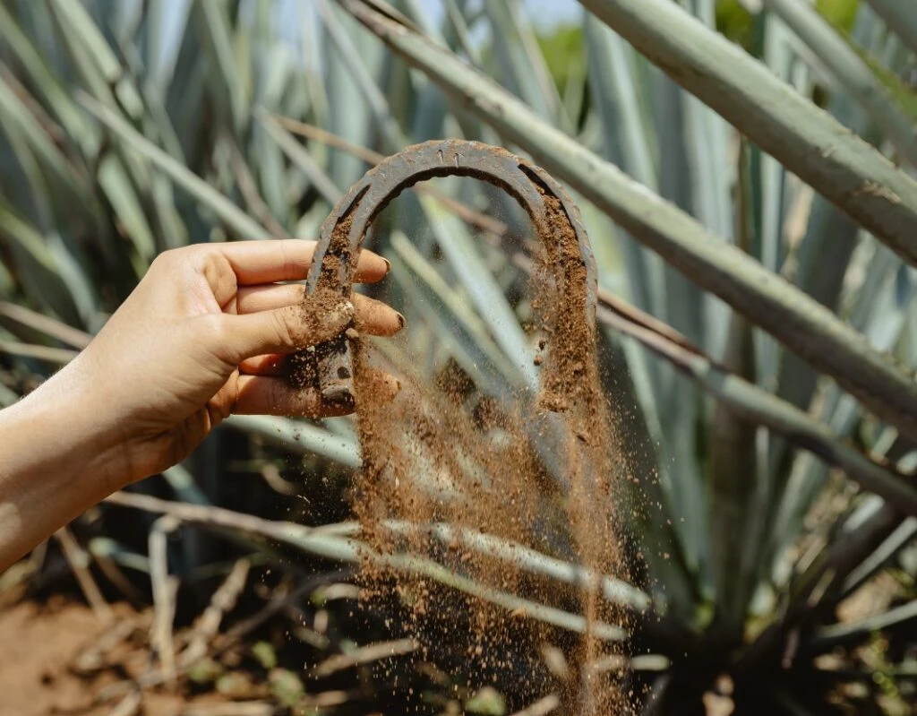 Brown-Forman fortalece la tradición del tequila artesanal en México.