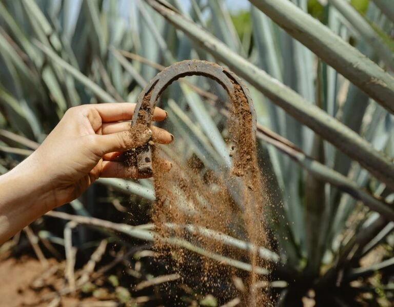 Brown-Forman fortalece la tradición del tequila artesanal en México.