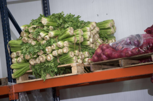 Corporativo Kosmos impulsa acciones orientadas a construir cadenas alimentarias más sostenibles y resilientes.